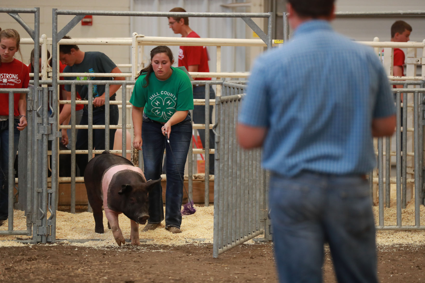 071119_HallCoFair34_bjs.JPG
